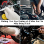Hướng Dẫn Bảo Dưỡng và Chăm Sóc Xe Máy Đúng Cách